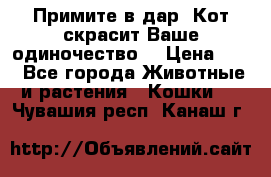 Примите в дар. Кот скрасит Ваше одиночество. › Цена ­ 0 - Все города Животные и растения » Кошки   . Чувашия респ.,Канаш г.